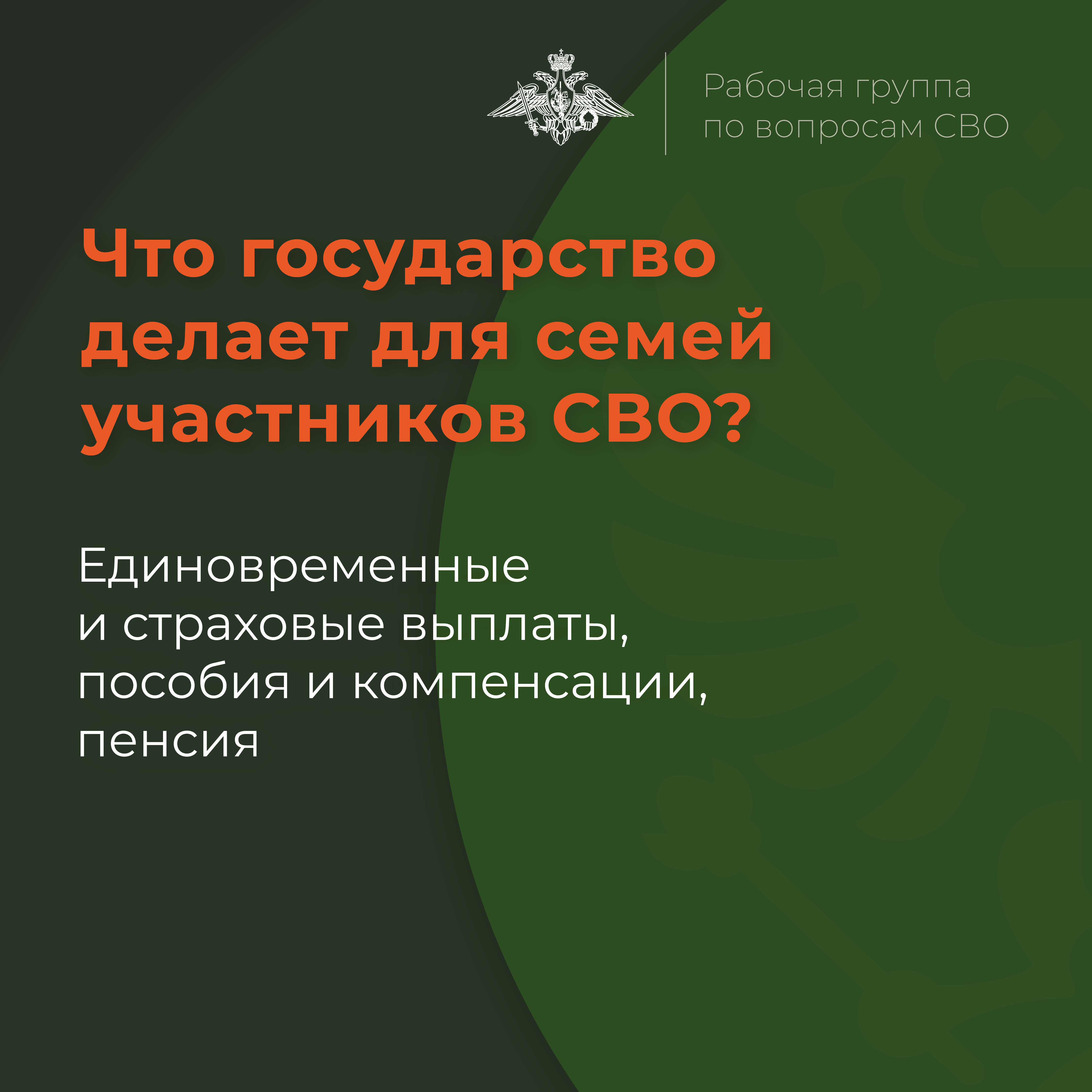 Что делает государство для семей участников СВО.