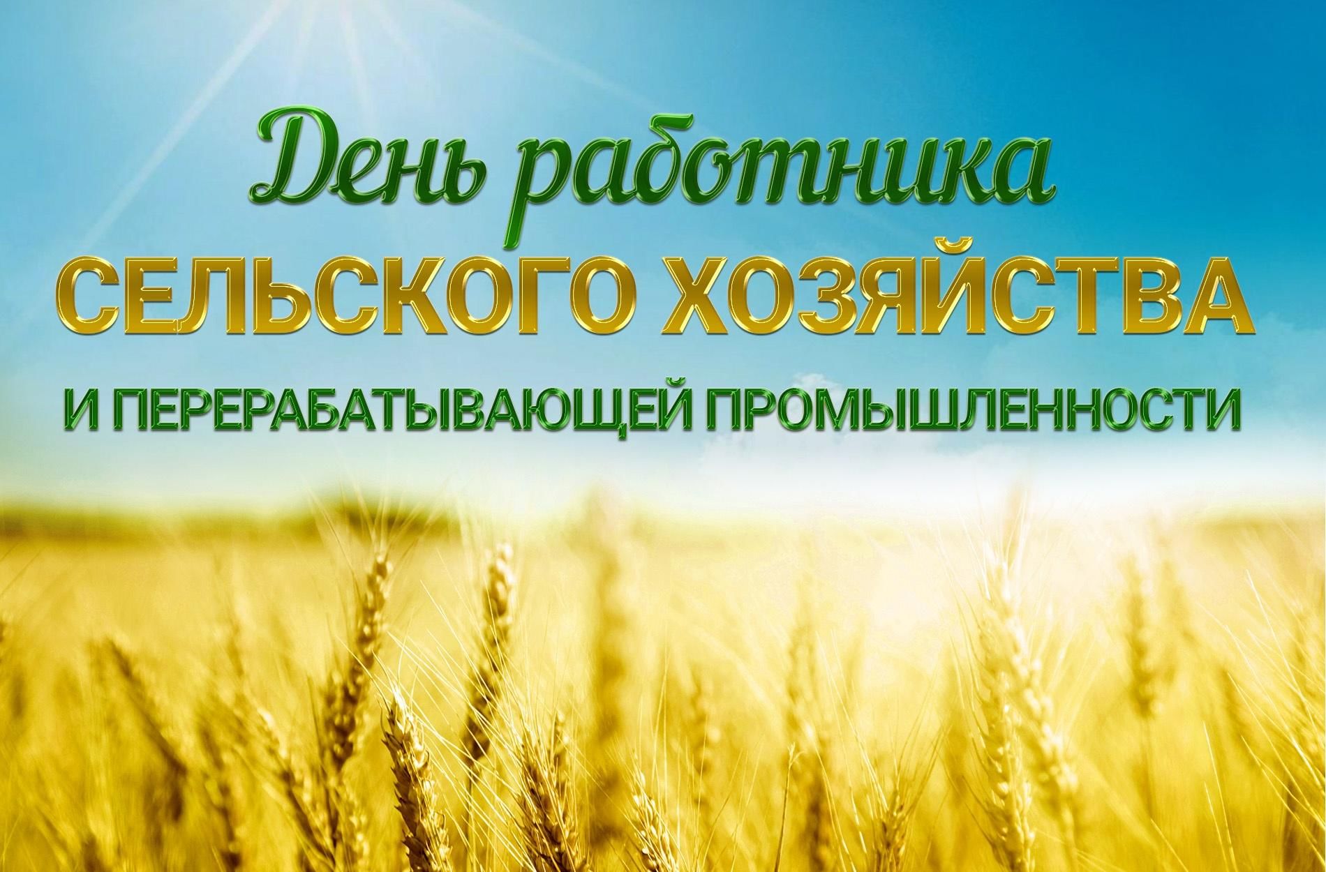 Уважаемые труженики села, работники и ветераны агропромышленного комплекса Сенгилеевского района!.