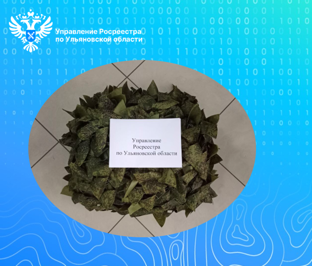 В Ульяновском Росреестре силами волонтеров Движения ZV установили конструкцию для плетения маскировочных сетей. В Ульяновском Росреестре силами волонтеров Движения ZV установили конструкцию для плетения маскировочных сетей.