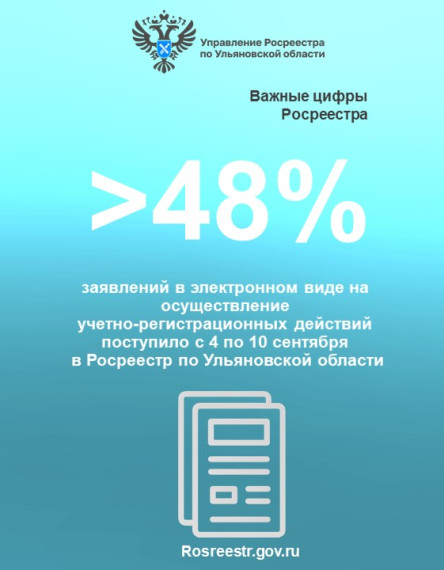 Электронные услуги (статистика). Электронные услуги (статистика).