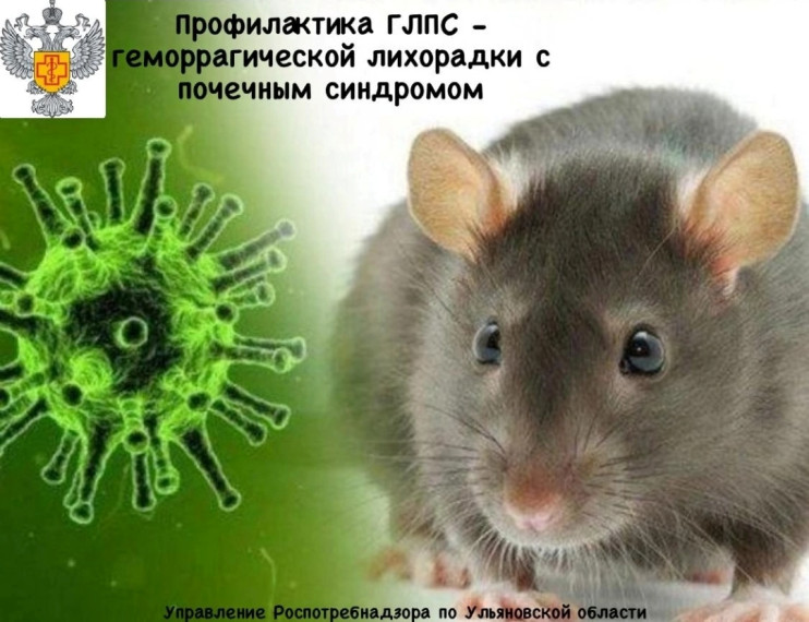 Профилактика ГЛПС — геморрагической лихорадки с почечным синдромом. Профилактика ГЛПС — геморрагической лихорадки с почечным синдромом.